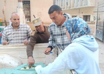 ضبط ٢٥طن أرجل ماشية وهياكل دجاج غير صالحة للاستهلاك الآدمي في بني سويف