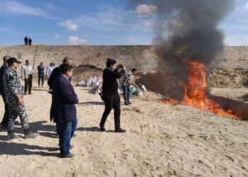 إعدام كمية من الأحراز الخاصة بالمواد والنباتات المخدرة ( صور )