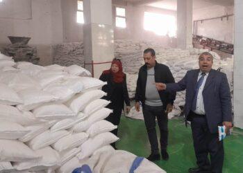 ضبط 8 أطنان مواد غذائية و100طن ملح بدون مستندات ومجهولة المصدر بقويسنا