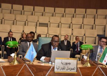 الصومال تدعو الدول العربية إلى الوقوف بحزم ضد هذه الإعتداءات الإسرائيلية المتكررة ضد دولنا