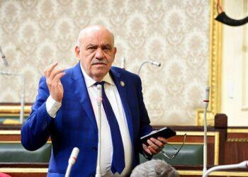 اقتراحات برلمانية من النائب سيد حنفى لتحويل القلعة والسيدة عائشة إلى كنز سياحى عالمى