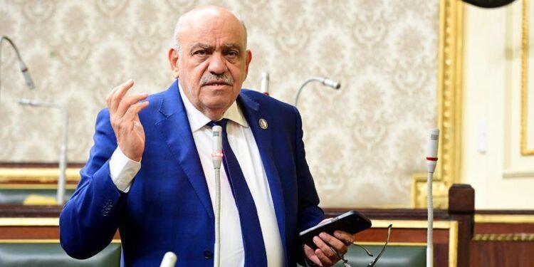 اقتراحات برلمانية من النائب سيد حنفى لتحويل القلعة والسيدة عائشة إلى كنز سياحى عالمى