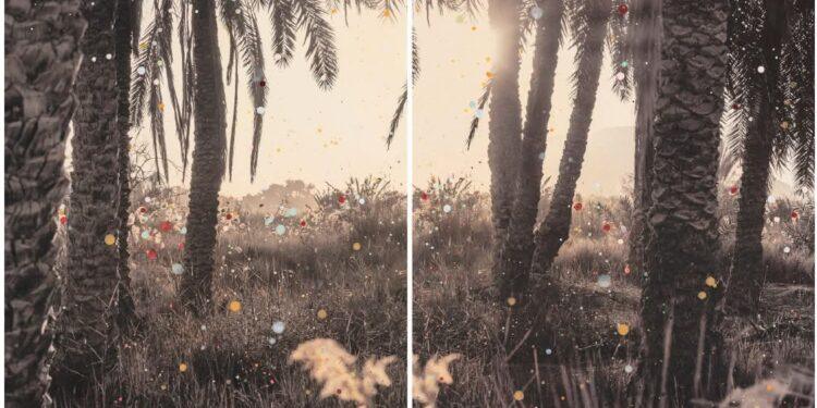 سفارة فنلندا في القاهرة تسلط الضوء على معرض “الواحة المرسومة”