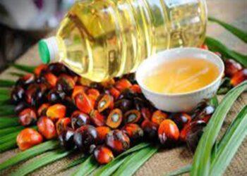 ارتفاع مخزون زيت النخيل في ماليزيا لأعلى مستوى منذ 7 سنوات