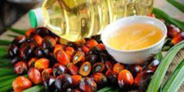 ارتفاع مخزون زيت النخيل في ماليزيا لأعلى مستوى منذ 7 سنوات