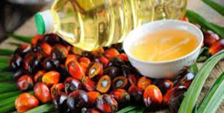 ارتفاع مخزون زيت النخيل في ماليزيا لأعلى مستوى منذ 7 سنوات