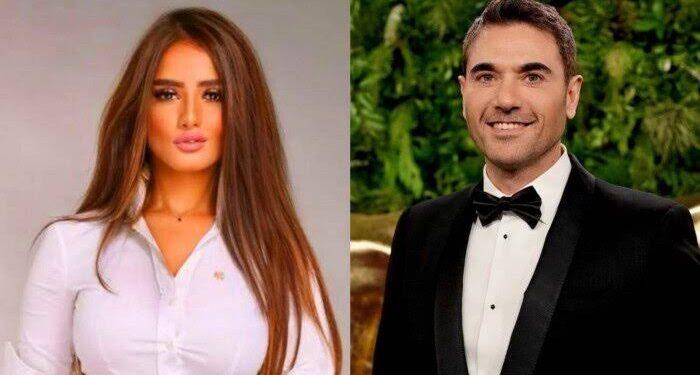 زينة: “خطة ذكية”.. بعد شكوى أحمد عز لوزارة العدل