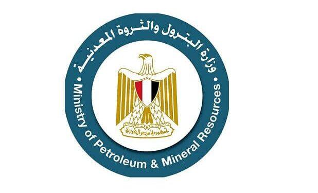 تحرك جديد لتعزيز التعاون مع سايبم في مشروعات الطاقة بمصر