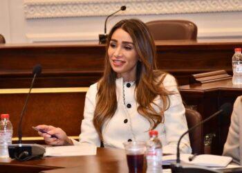 النائبة إنجي نصيف تطالب بحماية الأطفال من الإنترنت.. وتؤكد: تنظيم استخدام الهواتف الذكية ضرورة وطنية