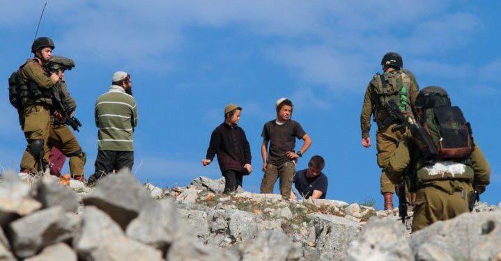 وزيرة الاستيطان الإسرائيلية: تعزيز الاستيطان في “جبل الخليل” بتوزيع عتاد أمني على المزارع الاستيطانية