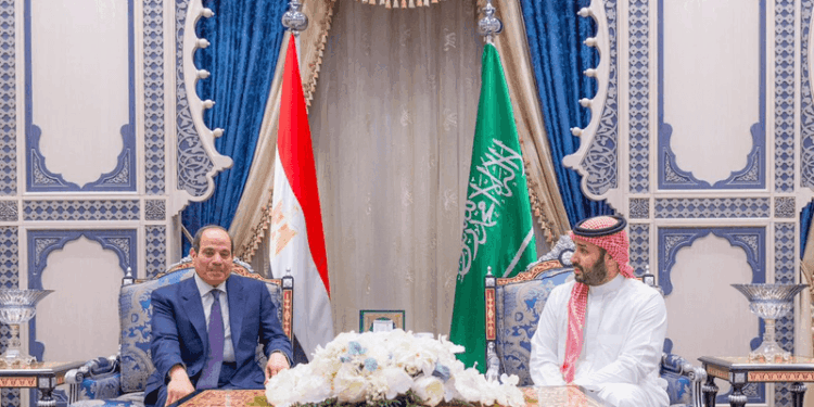 ولي العهد السعودي والرئيس المصري يبحثان التطورات الإقليمية