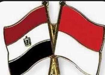 مصر وإندونيسيا تبنيان جسراً تجاريًا بين قارتي آسيا وأفريقيا