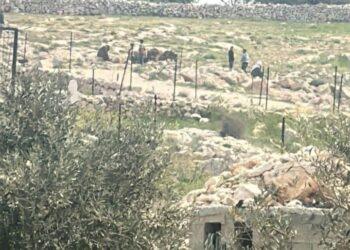 اعتداء جديد لمليشيات المستوطنين على راعٍ فلسطيني جنوب شرق بيت لحم
