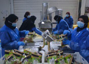 محافظ القليوبية يتفقد المنطقة الاستثمارية ببنها ويوجه بإنشاء منافذ لبيع المنتجات بأسعار مخفضة