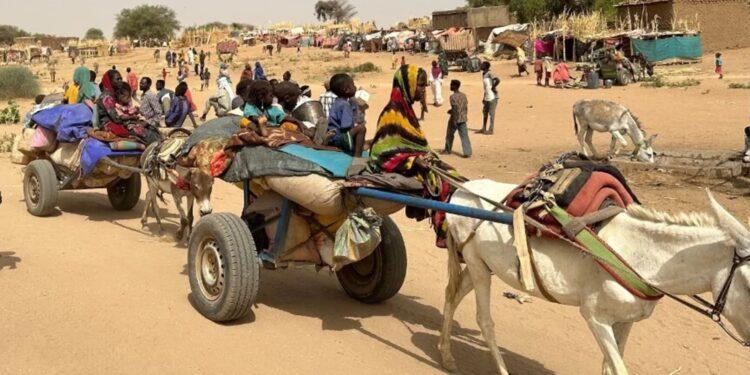 إيطاليا تعزز مساعداتها الإنسانية للسودان وسط تفاقم الأزمة