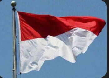 إندونيسيا تسعى للحصول على الدعم لترشيحها لعضوية مجلس الأمن التابع للأمم المتحدة للفترة 2029-2030