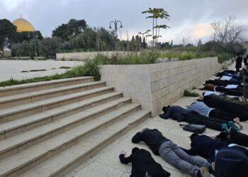 تصعيد خطير في الأقصى: طقوس تلمودية وسجود ملحمي خلال اقتحام المستوطنين