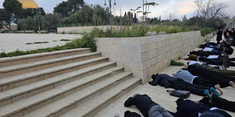 تصعيد خطير في الأقصى: طقوس تلمودية وسجود ملحمي خلال اقتحام المستوطنين