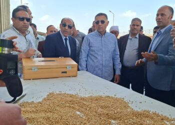 زيادة الإنتاج المحلي من القمح تسهم في خفض الاعتماد على الاستيراد