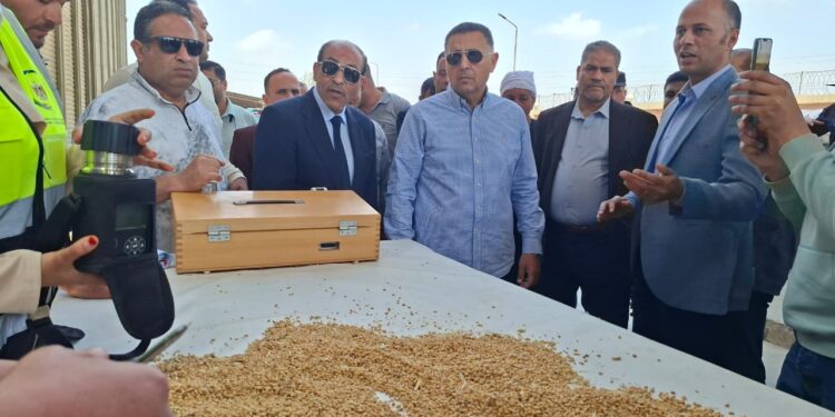 زيادة الإنتاج المحلي من القمح تسهم في خفض الاعتماد على الاستيراد