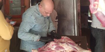محافظ القليوبية يتابع حملات ضبط الأسواق.. والتحفظ على ذبيحة مريضة وغير صالحة للاستهلاك الآدمي ببنها