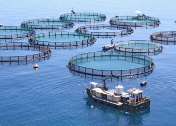 عُمان تطرح حزمة فرص استثماريّة في قطاع الأمن الغذائي