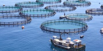 عُمان تطرح حزمة فرص استثماريّة في قطاع الأمن الغذائي