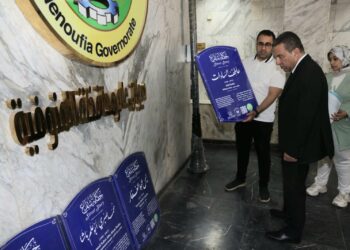 محافظ المنوفية يتفقد عددا من لوحات مشروع حكاية شارع لتعزيز الهوية الحضارية