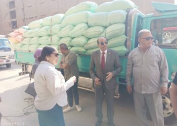 وكيل وزارة التموين يعلن الذهب الأصفر يتدفق إلى صوامع القليوبية