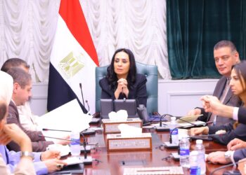 وزيرة التضامن الاجتماعي تلتقي عدداً من أعضاء مجلسي النواب والشيوخ