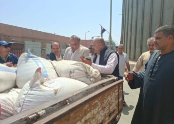محافظ المنوفية: توريد 48 ألف طن قمح للصوامع والشون منذ بدء موسم الحصاد