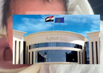 توجيهات اللواء علاء بشندي تثمر عن ضبط المتهمين في واقعة رضيعة الرحاب