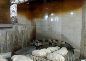 تحرير 121 محضرًا تموينيًا وضبط لحوم فاسدة في حملات مكثفة بالمنوفية
