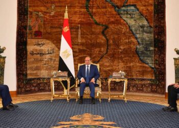 السيسي يؤكد دعم نبيل فهمي لمنصب الأمين العام للجامعة العربية