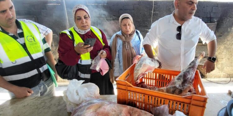 تموين القليوبية والطب البيطري بالقليوبية يضبطان 440 كيلو جراماً من اللحوم والدهون والدواجن غير صالحة للاستهلاك الآدمي بالعبور الجديدة