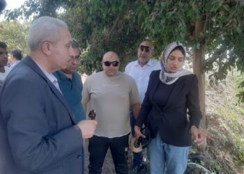 محافظ القليوبية يتابع أعمال اللجنة المشكلة لفحص واقعة تداول مقطع فيديو يُظهر تمساح يُزعم وجوده بمصرف قرية الحصافة بشبين القناطر
