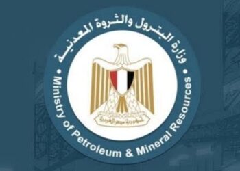 وزارة البترول المصرية تصدر بيانا عقب حريق في سفينتين بميناء دمياط