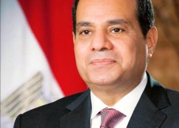 الرئيس السيسي: الشعب المصري ينتظر الكثير من المنتخب في المرحلة المقبلة