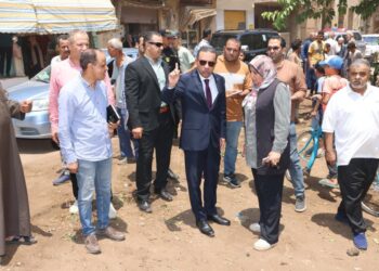 محافظ المنوفية يتفقد ميدانيا فعاليات مبادرة «يوم في قريتنا» بقرية شمنديل بقويسنا
