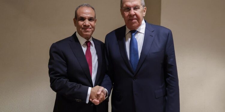 وزير الخارجية المصرى يلتقي نظيره الروسي