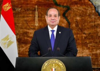 الدكتور الشربيني يكتب.. كيف أطلق الرئيس السيسي شراع الأمان للأستاذ الجامعي؟