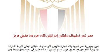 مصر تدين استهداف سفينتين إماراتيتين أثناء عبورهما مضيق هرمز