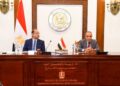 وزيرا الخارجية والمالية.. يبحثان سبل دعم التحرك المصري على الصعيد الاقتصادي