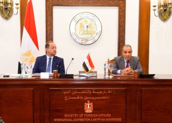 وزيرا الخارجية والمالية.. يبحثان سبل دعم التحرك المصري على الصعيد الاقتصادي