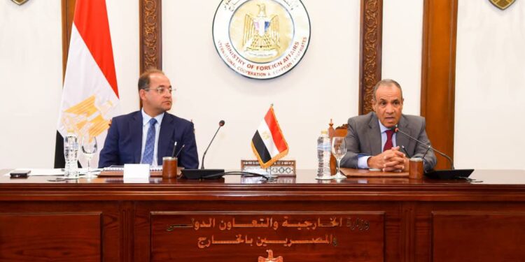 وزيرا الخارجية والمالية.. يبحثان سبل دعم التحرك المصري على الصعيد الاقتصادي