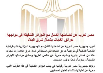 مصر تعرب عن تضامنها الكامل مع الجزائر الشقيقة في مواجهة حرائق الغابات بشمال شرق البلاد
