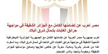 مصر تعرب عن تضامنها الكامل مع الجزائر الشقيقة في مواجهة حرائق الغابات بشمال شرق البلاد