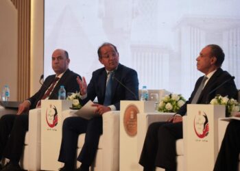وزير المالية فى مؤتمر المصريين بالخارج:نعمل مع الصناعة والاستثمار على إطلاق منصة رقمية متكاملة لتأسيس الشركات بسهولة