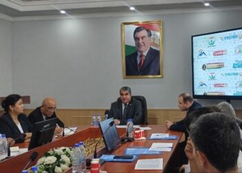 بيان صحفي. تم إنشاء المتحف التاريخي التابع للمعهد الحكومي للثقافة والفنون في طاجيكستان.