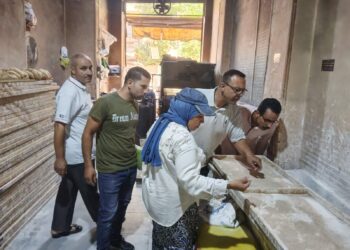 ضمن جهود إحكام الرقابة..محافظ المنوفية :حملات تموينية وصحية بالبتانون ودنشواي و تحرير16 محضر وغلق 8 منشآت مخالفة ….